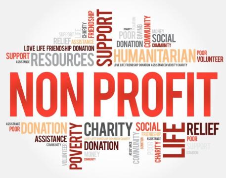 Non-Profit-Organisation